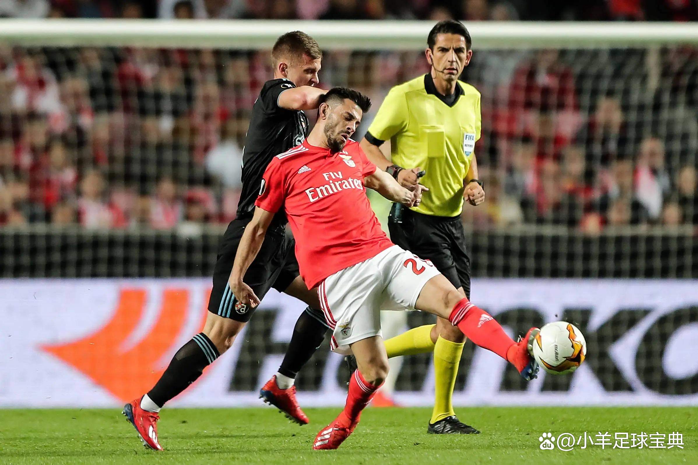 包含转会期费耶诺德临场应变：欧冠节点到来，话题不断，医务组通报恢复的词条